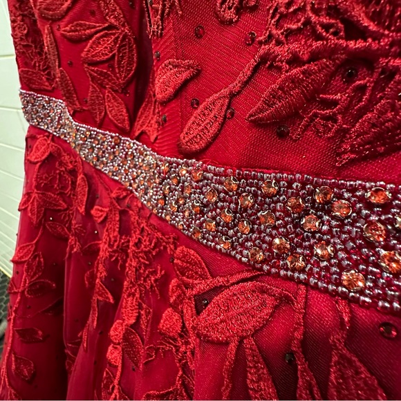 AMARRA | Wine Red Size 14 Floral Appliqué Beaded Tulle Ballgown With Pockets! - Picture 2 of 16